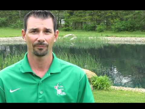 how to fertilize golf greens