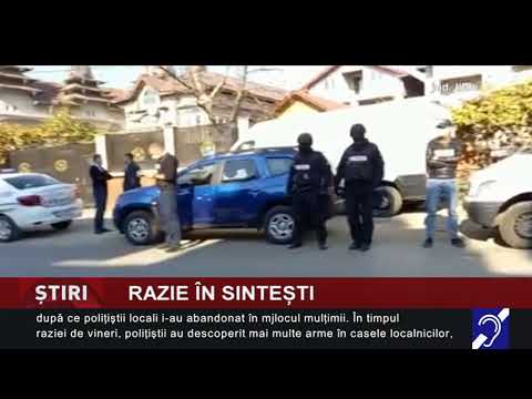Razie de amploare, la Sintești