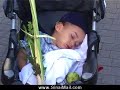 The Sukkot Shake The Sukkot Shake