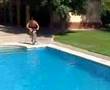 videos de Warrazo Alex