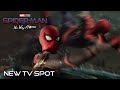 View 19 Cast Spider Man No Way Home Poster Official