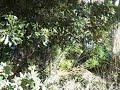 Jan 05 2007 - VID00001
