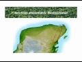 MECANISMO LOCAL DE PAGO POR SERVICIOS AMBIENTALES EN QUINTANA ROO