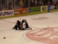 Vandermeer, Sicard Vs. Buccella, Siers