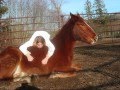 Best Day Ever(First Ride On Dude Lee!)