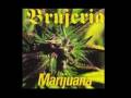 Macarena in death metal - Marijuana by Brujeria
