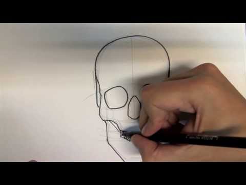 how to draw skulls