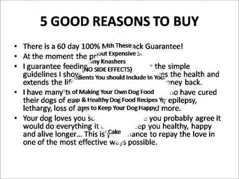 how to treat a shih tzu with diarrhea