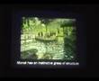 Renoir vs. Monet Landscapes