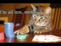 Funny animals and people