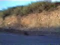 Spin out Spin out