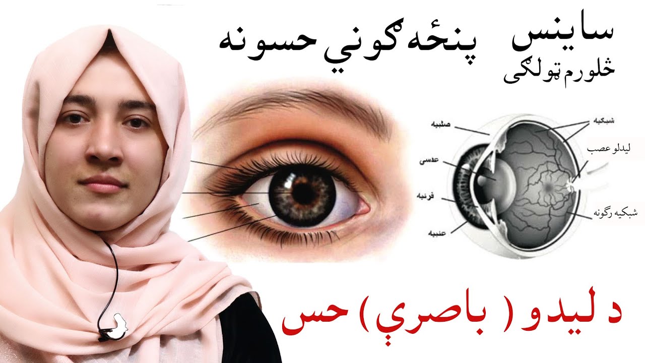 LESSON 3 _ Grade 4 SCENCE / دریم لوست ـ د ساینس مضمون ـ څلورم ټولګی