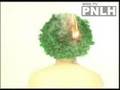 PNLH X - 10 Nominasi Hasil Lomba Iklan Layanan Masyarakat