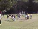 Widlcats Football 2001