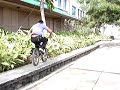 bmx1