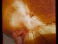 Doctor Who: Jon Pertwee Regeneration - Updated FX