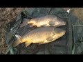Linford 1 Carp Fishing Milton Keynes Linford 1 Carp Fishing Milton Keynes