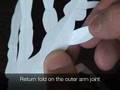 Kirigami Pray Mantis - 3 Folding the Arms