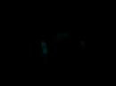 Search Video