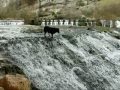 Nera al rescate