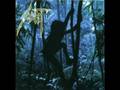 Sadist - From Bellatrix to Betelgeuse