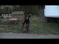 Brandon working U on the Trailers