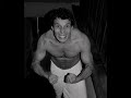 Album Fotogr�fico de Pablo Hurac�n Navascues