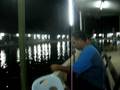 videos de Bilis (UGAT) & udang galah