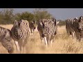Deutsch-Südwestafrika - Spuren im Sand 5/5