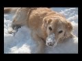our first snow for this season
