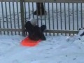 Sledding 2