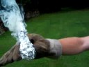 Ping Pong Ball Smoker 2