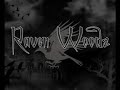 raven woods   soulside execution  live in odtu2007 