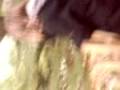 videos de apenheul, aapjes