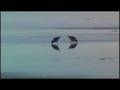 TXABER TROJAOLA PROMO VIDEO