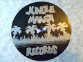 REGGAE LICK - DJ BUSINESS - JUNGLE MANIA 3 Manele-Gratis.net