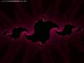 Fractals