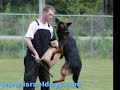 impressing protection dogs from Israel