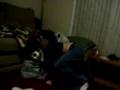 Chris Falling Again..... still a dumb ass