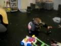 videos de 003