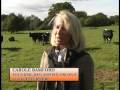 Interview with Carole Bamford