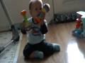 videos de Maracas!.mpg