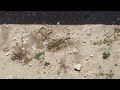 YouTubeサムネイル[EDSzx3xdf-0] - 3枚目