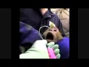 animal testing