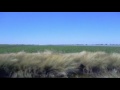 crop dusting valle del yaqui 2