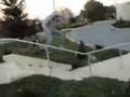 Cody ollies 6 stair