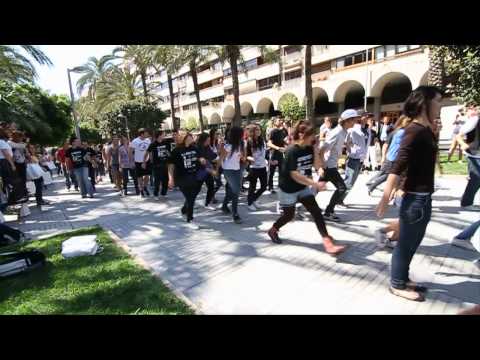 Vota por tu vídeo favorito