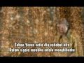 Tuhan yesus setia
