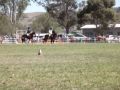 Arundles Eclipse Merriwa Show 19 Sept 2009