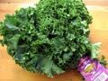 Kale:101
